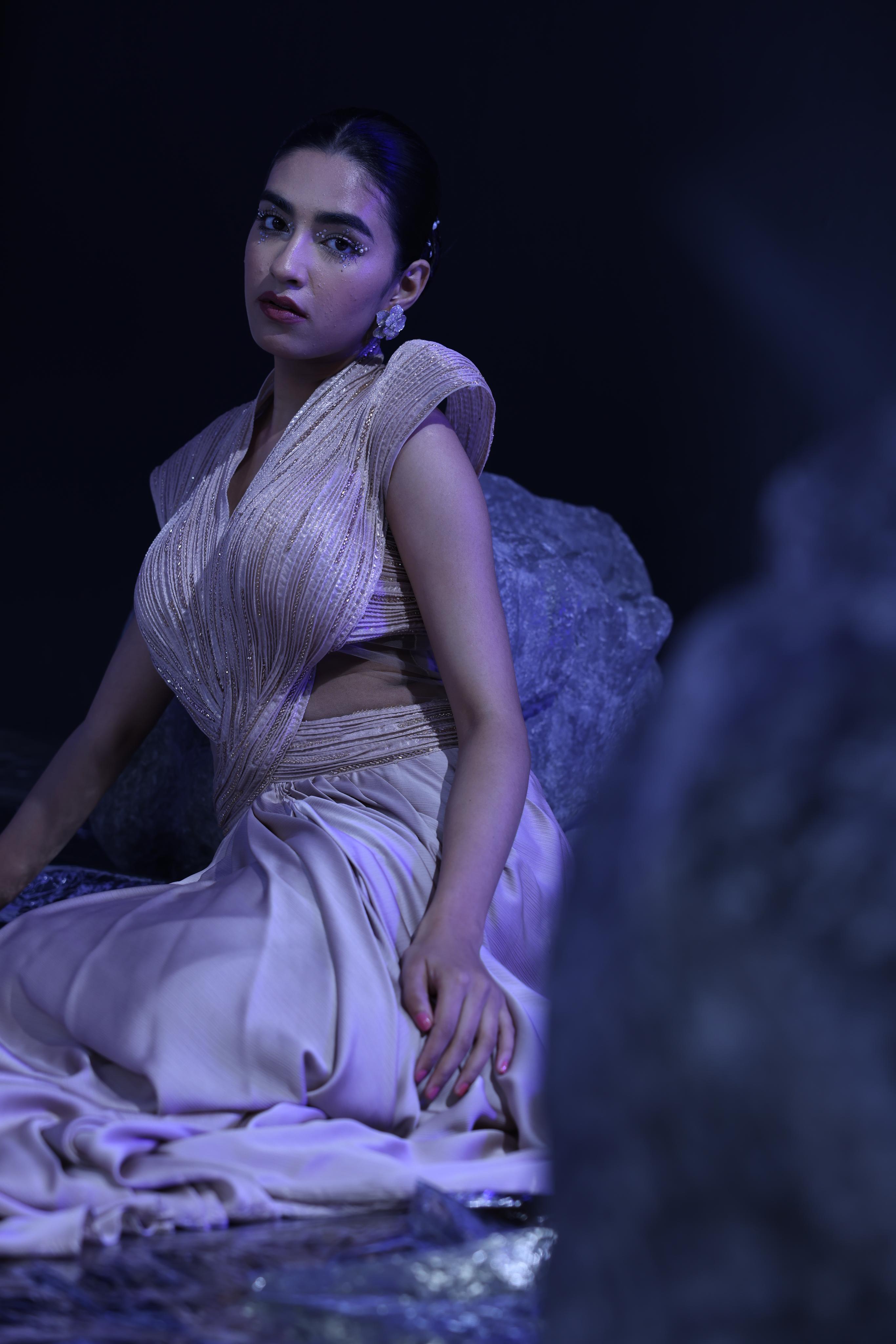 Mocha embroidered draped saree